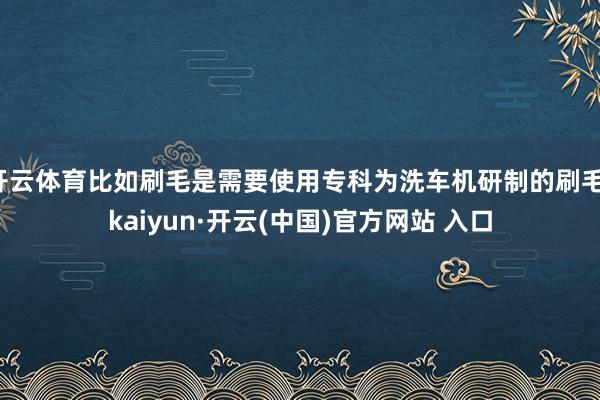 开云体育比如刷毛是需要使用专科为洗车机研制的刷毛-kaiyun·开云(中国)官方网站 入口