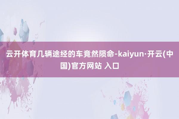 云开体育几辆途经的车竟然陨命-kaiyun·开云(中国)官方网站 入口