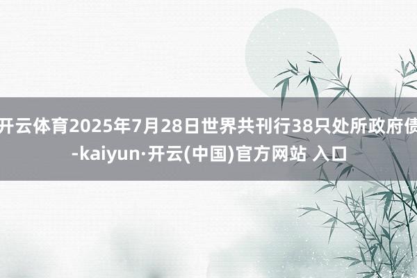开云体育2025年7月28日世界共刊行38只处所政府债-kaiyun·开云(中国)官方网站 入口