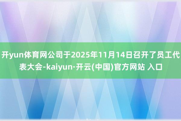 开yun体育网公司于2025年11月14日召开了员工代表大会-kaiyun·开云(中国)官方网站 入口